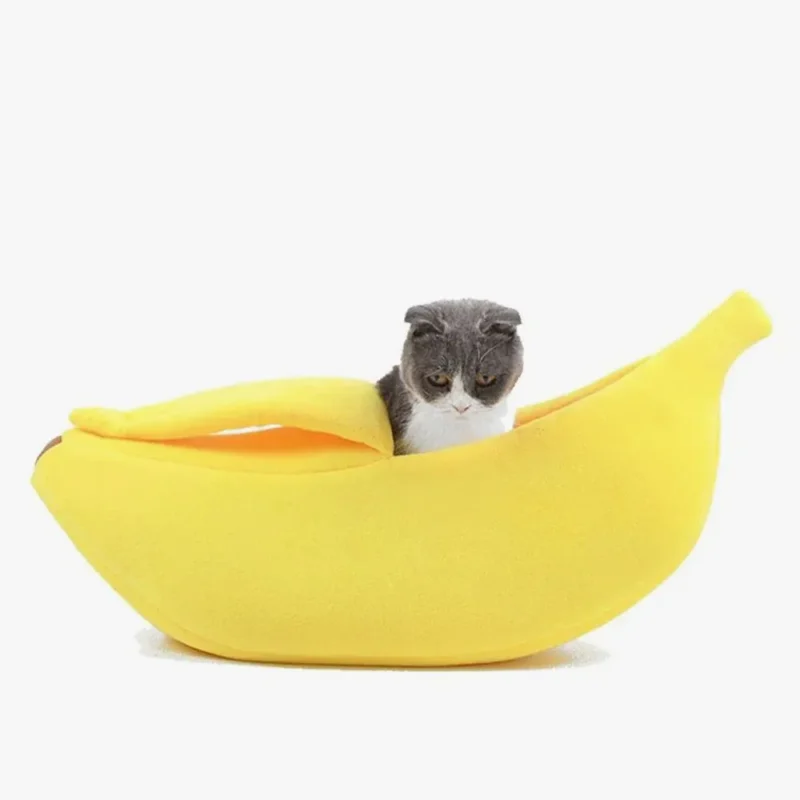 Chat mignon se détendant dans un lit en forme de banane jaune.