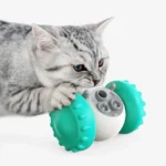 Chat tigre gris samusant avec un jouet coloré et interactif.