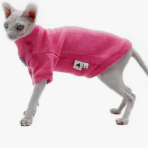 Chat sans poils en sweater rose, posture confiante et regard captivant.