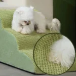 Chien blanc mignon sur une rampe verte confortable, jouant dans un intérieur chaleureux.