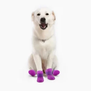 Chien blanc joyeux avec bottes violettes, adorable et stylé, prêt à samuser !