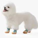 Chien blanc joyeux en bottes colorées, adorable et plein de vie.