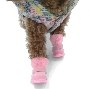 Chien cur curly avec bottes roses et manteau coloré, plein de joie en mouvement.