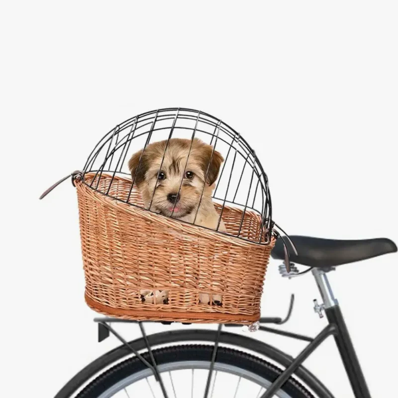 Petit chien heureux dans un panier de vélo, prêt pour une aventure joyeuse.