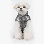 Chien fluffy blanc en veste argentée, mignon et élégant, posé avec assurance.