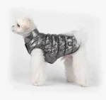 Chien fluffy blanc en veste puffer métallique, élégant et tendance.