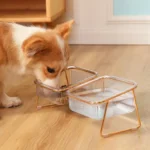 Chien corgi joyeux avec un élégant distributeur de nourriture et deau.