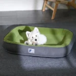 Chien terrier blanc se reposant dans un panier confortable, ambiance chaleureuse et sereine.