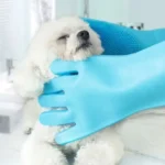 Chien fluffy paisible en toilettage, mains douces et gants bleus, moment de tendresse.