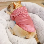 Un bulldog français détendu dans un lit douillet avec une veste rose charmante.