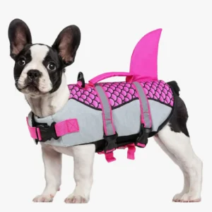 Chien bulldog français en gilet de sauvetage queue de sirène, prêt pour laventure aquatique.