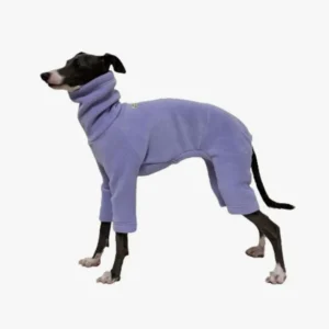 Chien élégant en manteau lavande, alliant confort et style moderne.