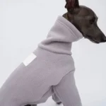 Chien gris élégant en manteau douillet, alliant confort et style moderne.