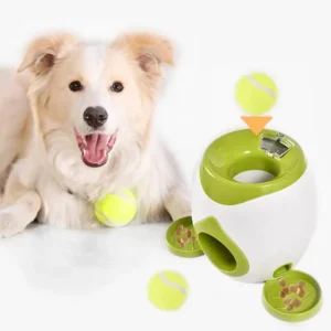 Chien heureux avec lanceur de balles interactif, prêt pour des heures de jeu.