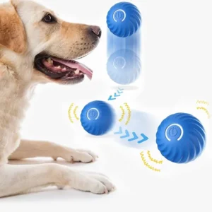 Chien joyeux avec jouets interactifs bleus, prêt à jouer et samuser.