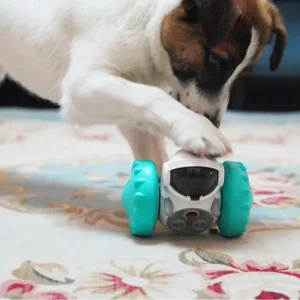 Un chien curieux joue avec un jouet robot dans un intérieur cosy et chaleureux.