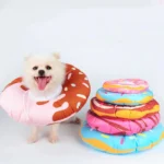 Chien joyeux avec collier donut et coussins colorés amusants en arrière-plan.