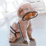 Chien mignon en imperméable transparent avec capuche, prêt pour la pluie.