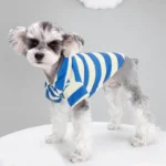 Chien mignon en polo bleu et blanc sur plateforme, style et curiosité.