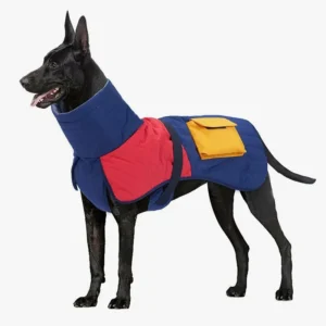 Chien noir en manteau coloré, prêt pour laventure en plein air.