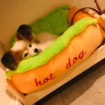 Chien Papillon détendu dans un lit en forme de hot dog coloré et confortable.