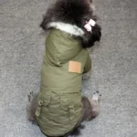 Petit chien en manteau vert stylé avec capuche, sur un tapis gris cosy.