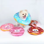 Chien Pomeranien mignon avec flotteur donut coloré, ambiance joyeuse et ludique.