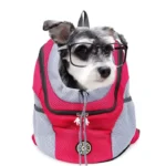 Chien schnauzer avec lunettes, confortablement installé dans un sac à dos rouge et gris.