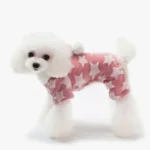 Chien fluffy blanc en onesie rose, joyeux et curieux, adorable et tendance.