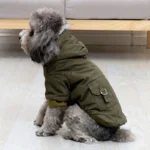 Chien mignon en veste olive, curieux sur un sol lumineux et moderne.