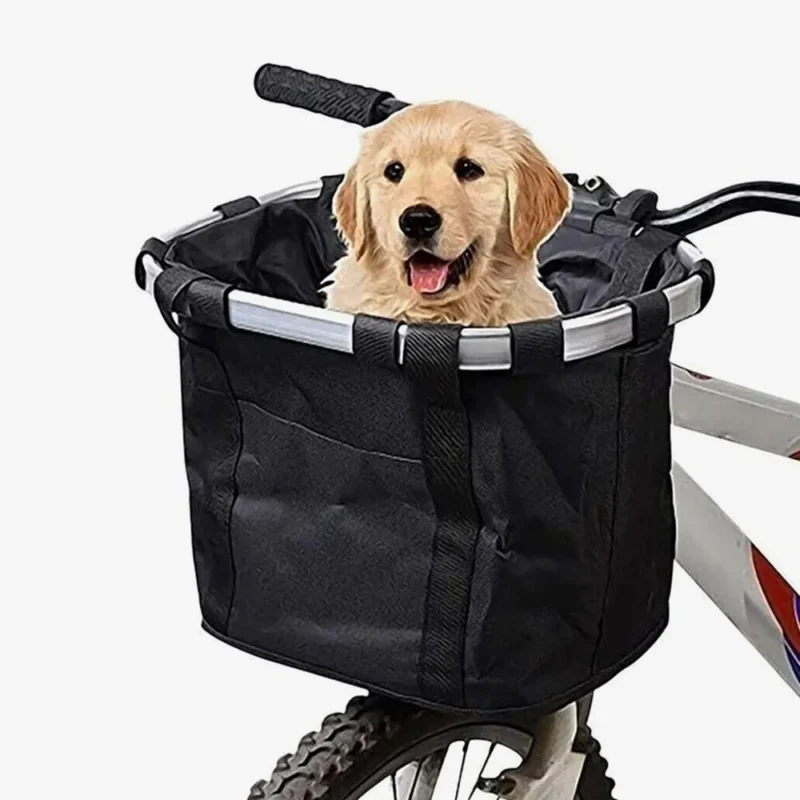 Golden retriever joyeux dans un panier de vélo noir, prêt pour laventure en plein air.