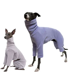 Deux chiens en vêtements violets assortis, élégants et chaleureux, prêts pour laventure.