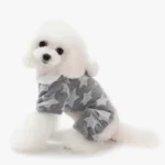 Chien mignon en onesie gris étoilé, pelage blanc fluffy, prêt à jouer.