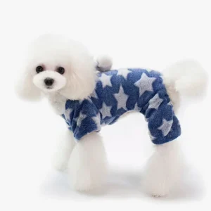 Un poodle adorable en onesie bleu étoilé, prêt pour samuser avec style.