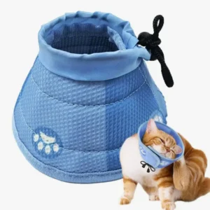 Collier protecteur bleu doux pour chat, confortable et stylé, idéal pour la convalescence.