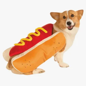 Corgi joyeux en costume de hot dog coloré, une scène amusante et adorable.