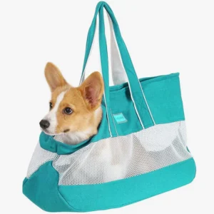 Corgi mignon dans un sac turquoise élégant et confortable pour des sorties stylées.