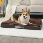 Corgi heureux se reposant dans un panier confortable, ambiance chaleureuse et moderne.