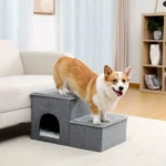 Corgi heureux sur des escaliers modernes dans un salon lumineux et accueillant.