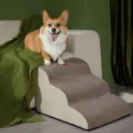 Corgi joyeux sur un escalier pour chiens à côté dun canapé confortable.