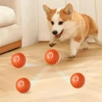 Corgi joyeux jouant avec des jouets colorés dans un cadre intérieur chaleureux.