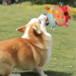 Corgi joyeux jouant avec une balle colorée dans un parc ensoleillé.