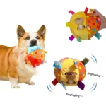 Corgi joyeux avec un jouet à textures et sons colorés pour un jeu interactif.