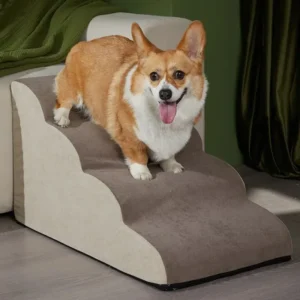 Corgi joyeux sur un escalier pour animaux dans un salon chaleureux et confortable.