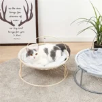 Chat gris et blanc se repose dans un lit confortable au décor moderne et apaisant.