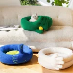 Coussins pour animaux colorés dans un salon cosy et moderne, idéal pour le confort des animaux.