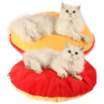 Deux chats fluffy se reposent sur des lits colorés, créant une scène chaleureuse et joyeuse.