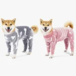 Deux Shiba Inu en pyjamas assortis, joyeux et adorables, prêts pour une soirée confortable.