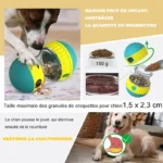 Distributeur interactif de nourriture pour chien : plaisir et contrôle de la quantité.