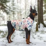 Doberman élégant en manteau floral dans une forêt enneigée, ambiance hivernale magique.